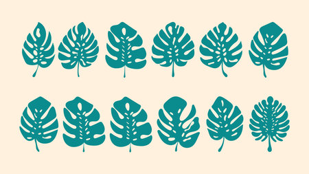 Set of Monstera Leaf in Flat Design. 
Monstera Icon Vector Illustrationのイラスト素材