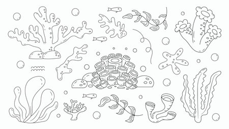 Set of Line Seaweed and Underwater Plants Doodle Hand Drawnのイラスト素材