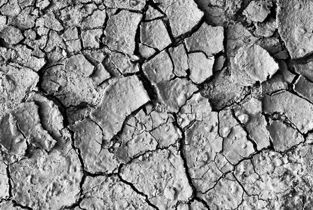 global warming concept of cracked ground の写真素材