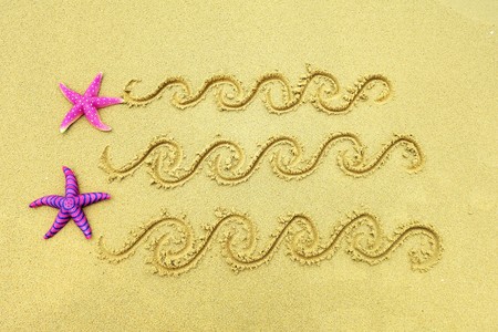 starfish on the beach, vacation memoriesの写真素材