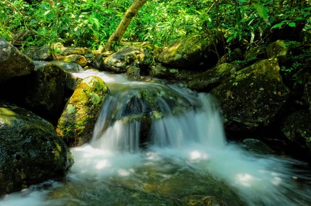 leaf is caught flowing over the boulders の写真素材