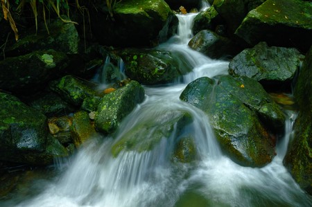 Waterfall in the national park 