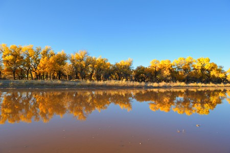 Autumn landscape at the morning parkの写真素材