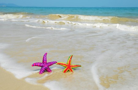 two colorful starfish sitting on beach の写真素材