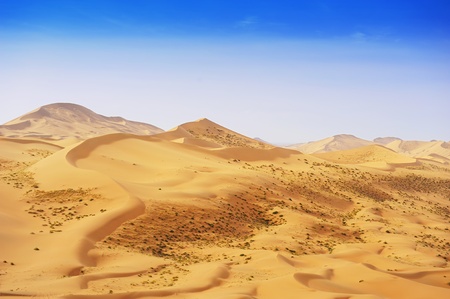  desert duneの写真素材
