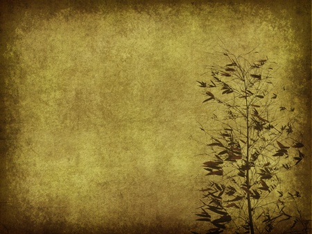 Silhouette of branches of a bamboo on paper background の写真素材