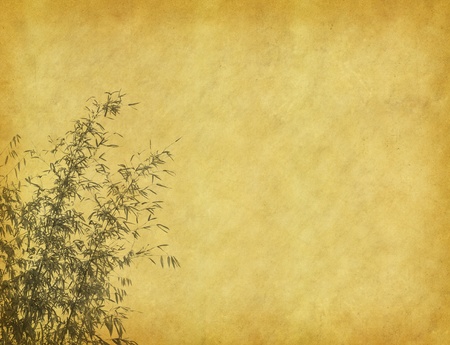bamboo on old grunge antique paper texture の写真素材