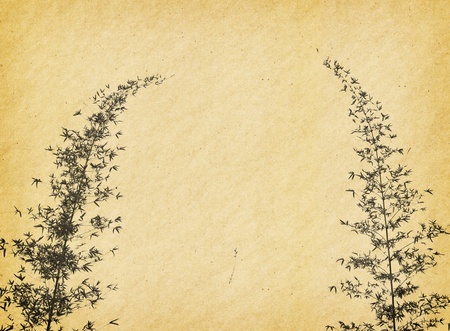 bamboo on old grunge antique paper texture の写真素材