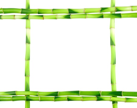 bamboo sticks on white background の写真素材
