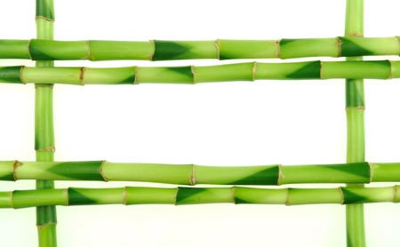 bamboo sticks on white background の写真素材