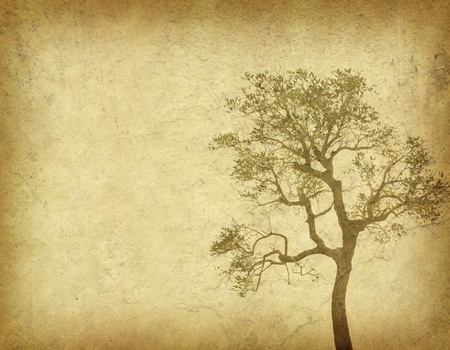 tree with old grunge antique paper textureの写真素材