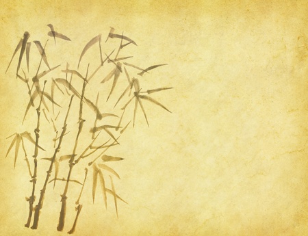 Silhouette of branches of a bamboo on paper background 
の写真素材