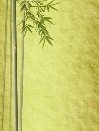 bamboo on old grunge antique paper texture 
の写真素材