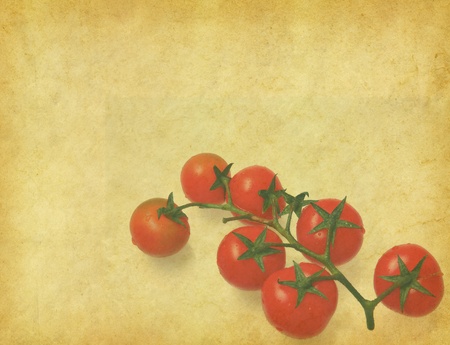 cherry tomatoes in Old antique vintage paper backgroundの写真素材
