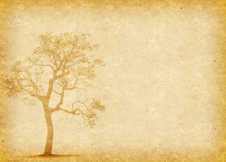 tree with old grunge antique paper textureの写真素材