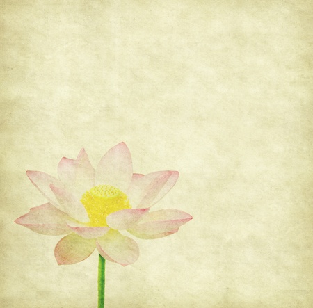 Old antique vintage paper backgroundの写真素材