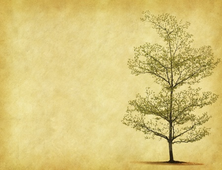 tree with old grunge antique paper textureの写真素材
