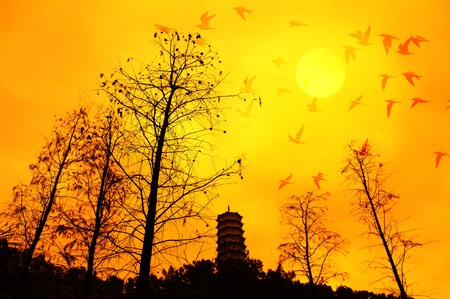 Birds flying above the tree の写真素材