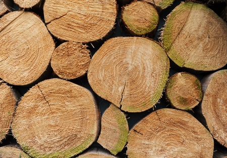 pile of wood の写真素材