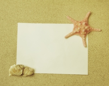 starfish and shells with frame on the beach, vacation memories の写真素材