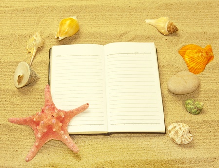 starfish and shells with frame on the beach, vacation memoriesの写真素材