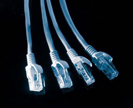 network cable closeup