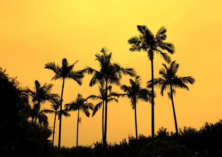 sunset over Caribbean Sea, Barbados の写真素材