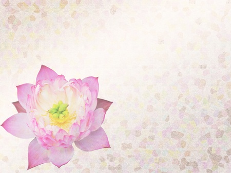 lotus and bamboo on Old antique vintage paper backgroundの写真素材