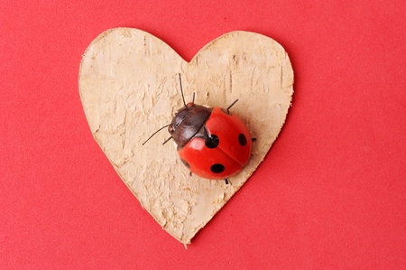 heart with ladybug の写真素材