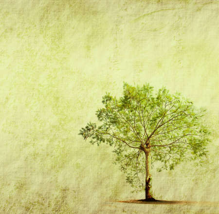tree with old grunge antique paper textureの写真素材