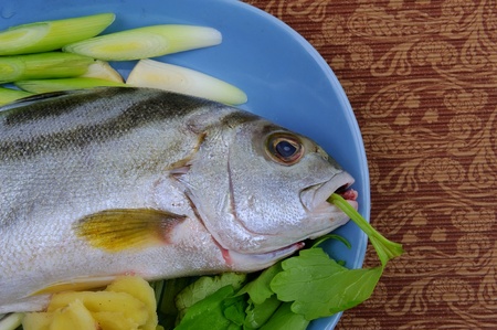 Fish in the plate