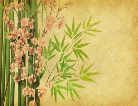 bamboo on old grunge antique paper textureの写真素材