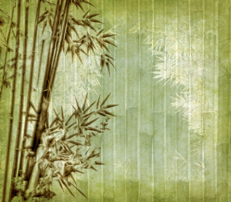 old paper with bamboo branchesの写真素材
