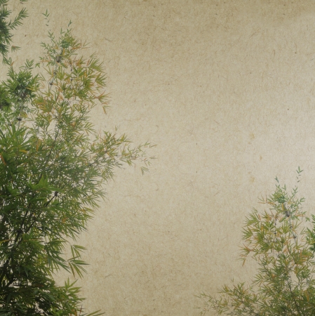          bamboo on old antique paper texture                      の写真素材