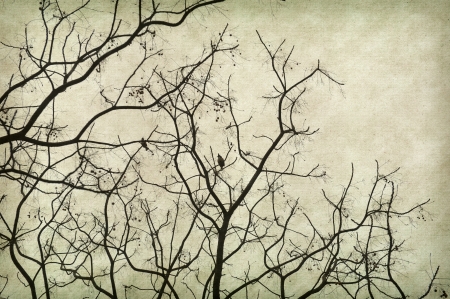 tree with old grunge antique paper textureの写真素材