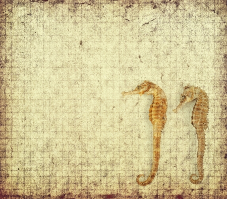 Old antique vintage paper backgroundの写真素材
