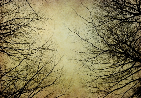 tree with old grunge antique paper textureの写真素材
