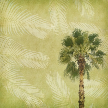 old paper background with palm leafの写真素材
