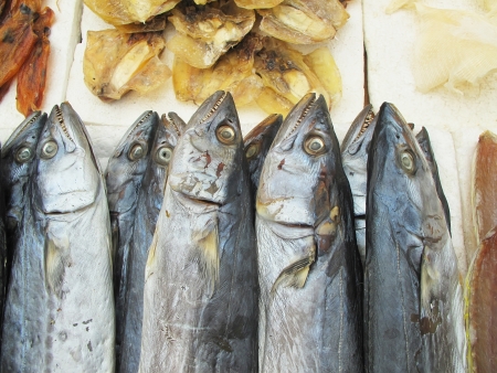 Fish drying in the sun Drying fish meatの写真素材