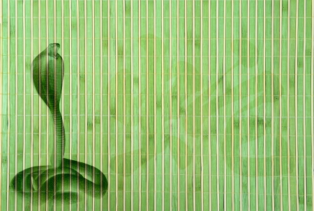 Chinese Year of Snake on bamboo backgroundの写真素材