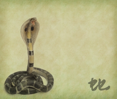 Year of the snake design on old paper background,chinese Calligraphy mean snakeの写真素材