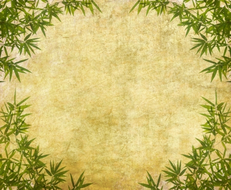 bamboo on old grunge antique paper textureの写真素材