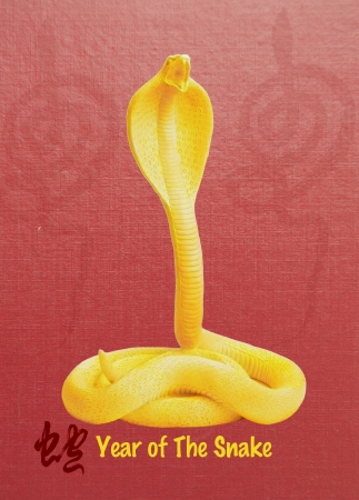 Chinese year of the snake design-golden snakeの写真素材