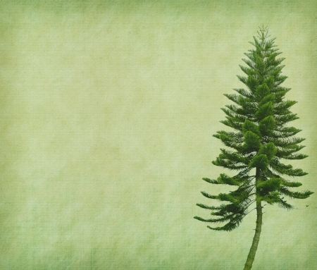 tree with old grunge antique paper textureの写真素材