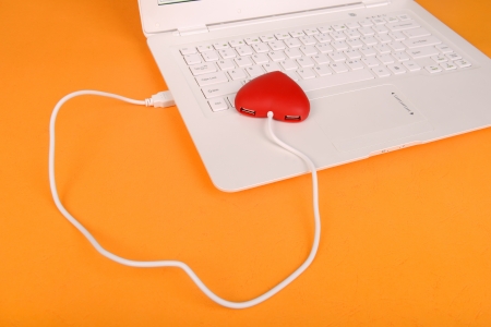 red heart shape of  USB hub  connect with laptopの写真素材