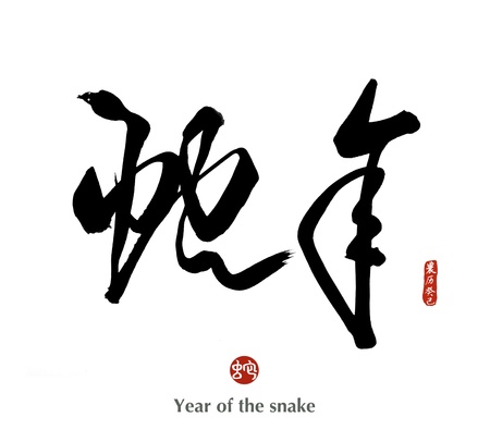 2013 year of the snake with paper backgroundの写真素材