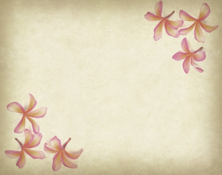 frangipani or plumeria tropical flower with old grunge antique paper textureの写真素材