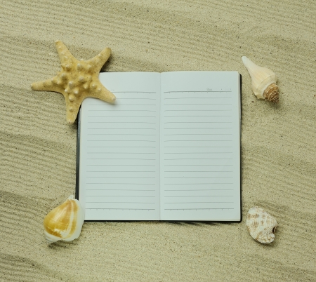 starfish and shells with frame on the beach, vacation memoriesの写真素材