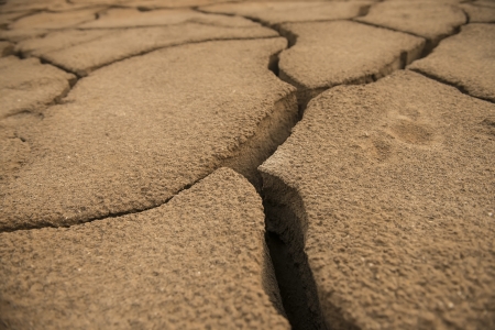 global warming concept of cracked groundの写真素材