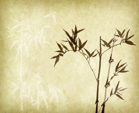 bamboo on old grunge paper texture backgroundの写真素材